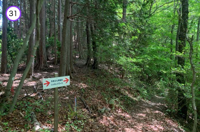 ツルキリ山との分岐
