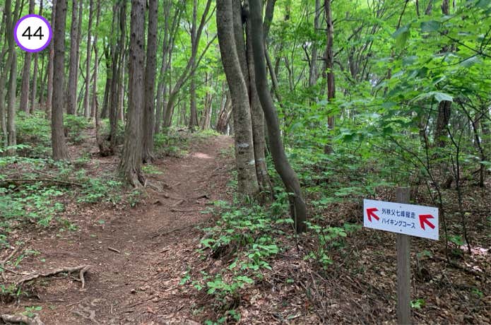 堂平山への登り