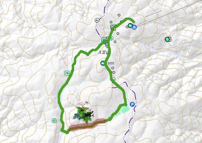 入笠山　ニリンソウの地図