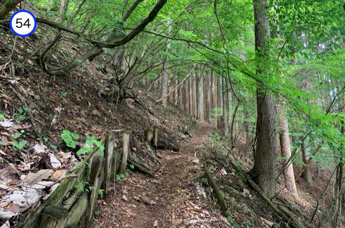 川木沢ノ頭の巻道