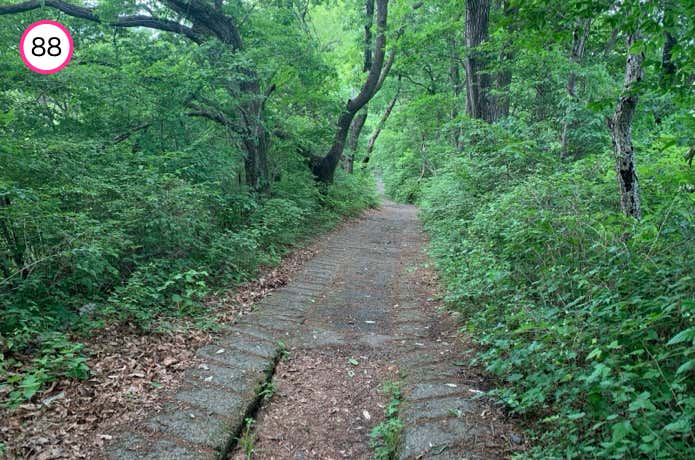 登谷山からの下り