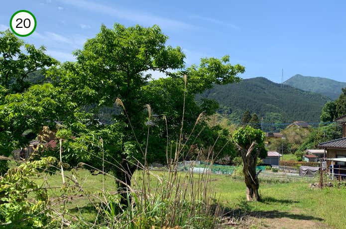 在家地区へ下る