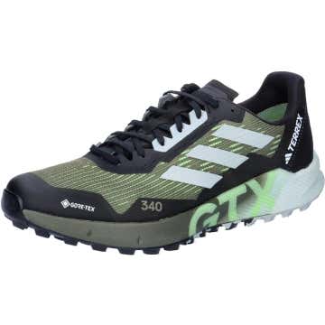 テレックス アグラヴィック フロー GORE-TEX トレイルランニング 2.0