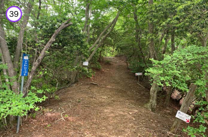 笠山への分岐