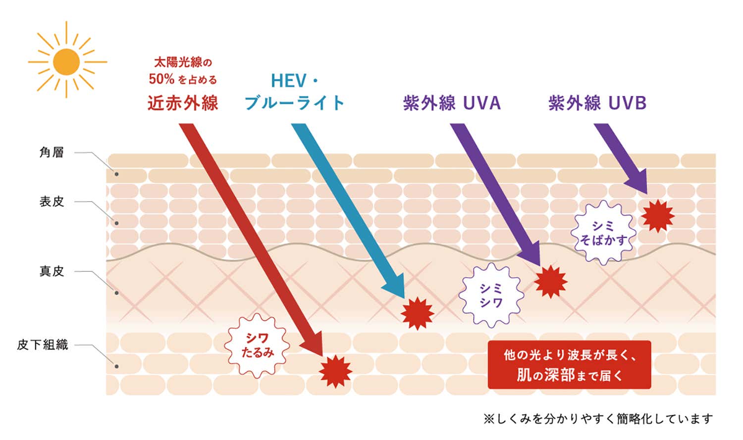 近赤外線肌影響