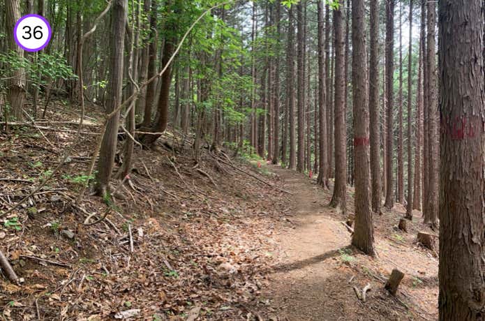 笠山への登山道