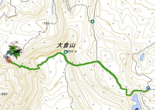 氾濫原(大倉山) ニリンソウの地図