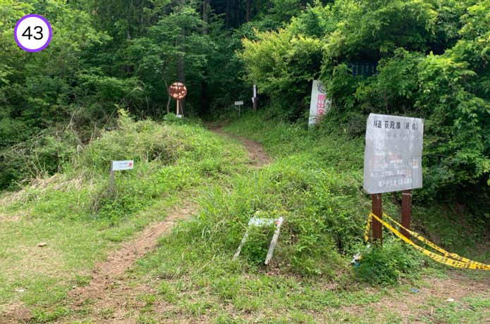篭山のタル