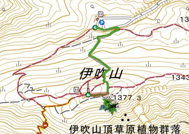 伊吹山　ニリンソウの地図