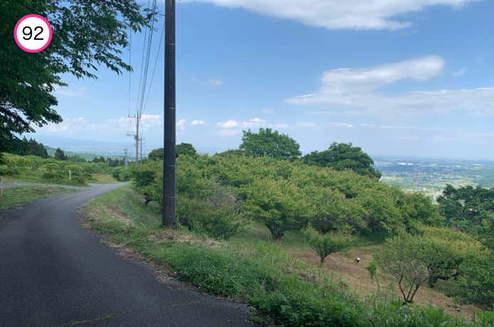 中間平