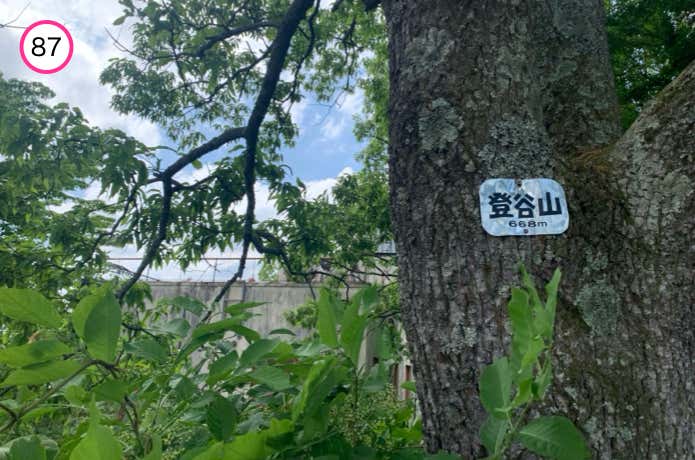 登谷山山頂