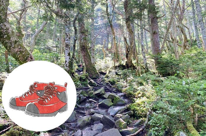ミドルカットが適した起伏のある登山道