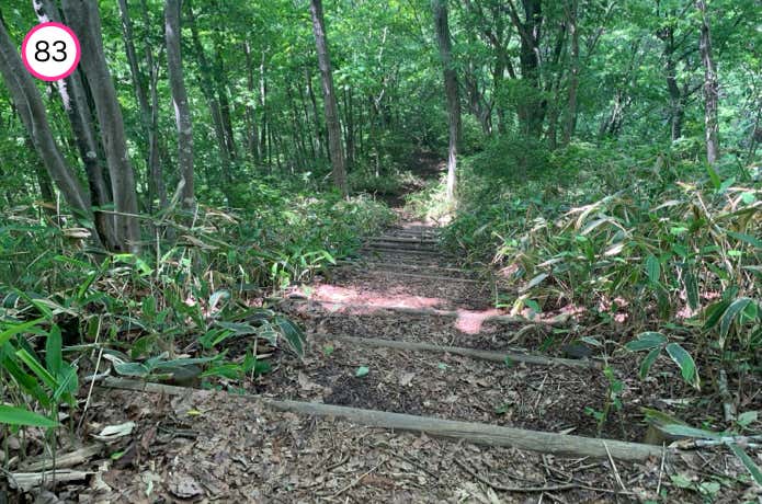 皇鈴山手前のピークを越える