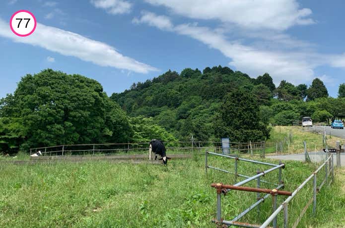 牧草地に出る