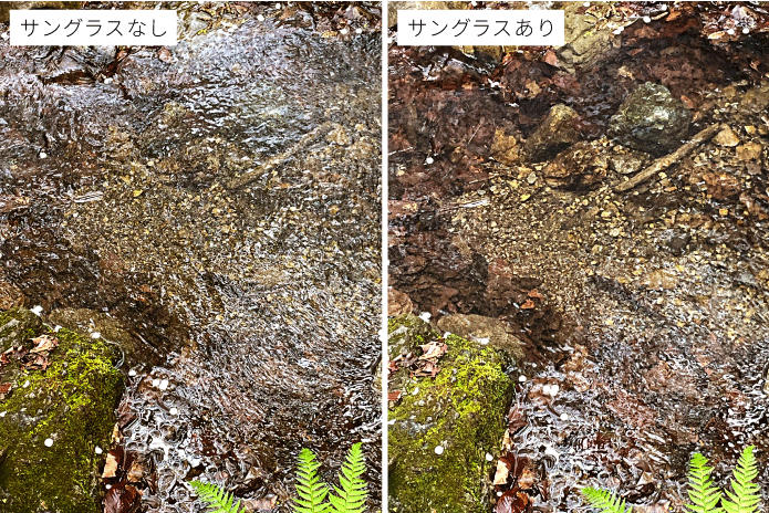 サングラス見え方比較