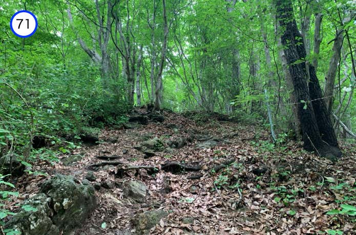 山頂直下の急斜面