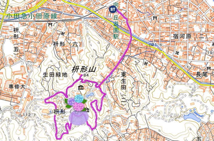 生田緑地あじさい山MAP