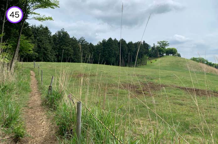 堂平山山頂直下