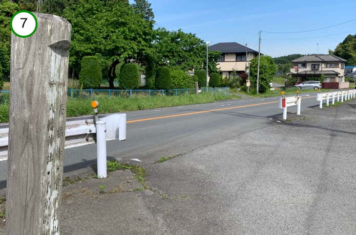 車道を渡る