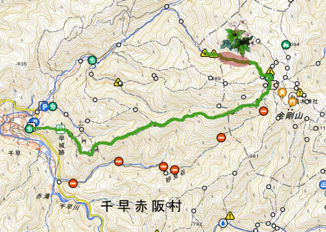 金剛山 ニリンソウの地図