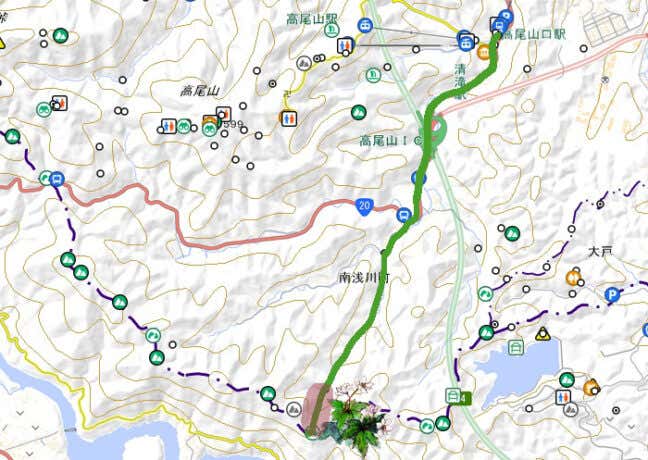 ニリンソウ 高尾山の地図