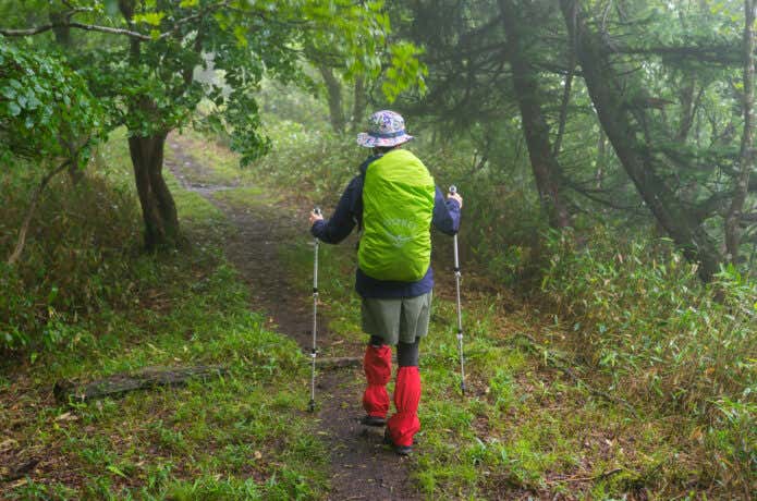 雨対策をしてトレッキングする人の後ろ姿