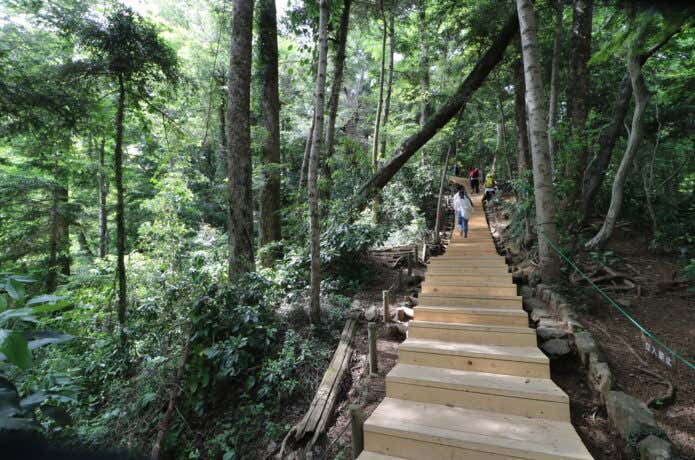 関東の山 高尾山の登山道