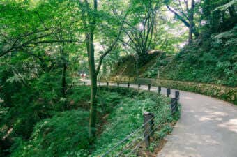 登山初心者におすすめしたい関東の山13選！日帰りで楽しめる人気コースを紹介