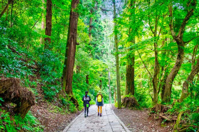 関東の山 高尾山の登山路