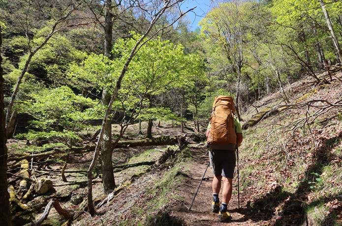 大型のリュックを背負い登山道を歩く男性