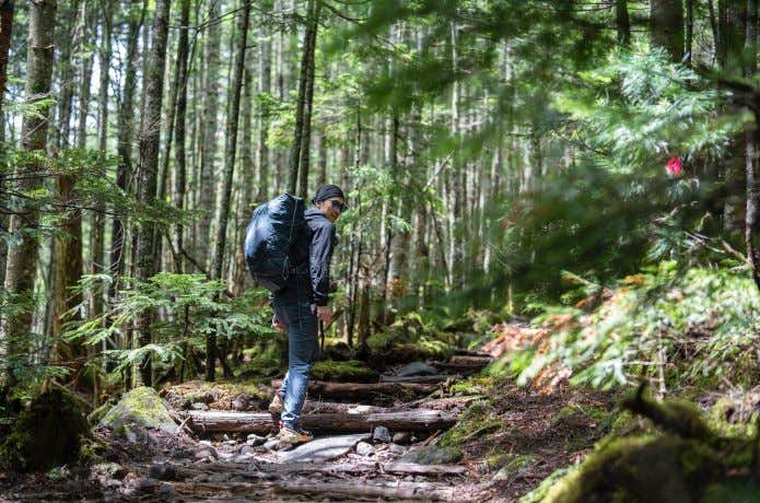 サロモン　X ULTRA ALPINE GTX　樹林帯を歩く人