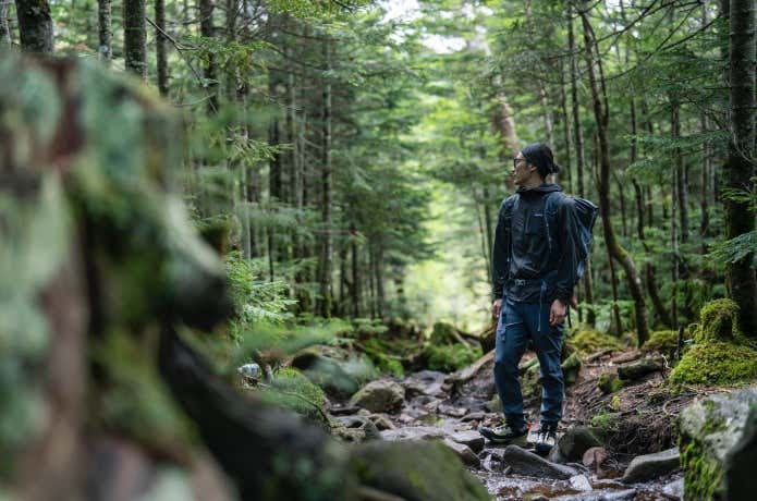 サロモン　X ULTRA ALPINE GTX　樹林帯で佇む人