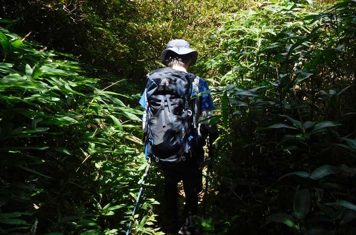 登山道を歩く