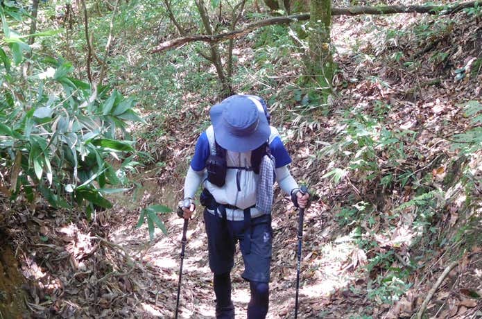 登山道を登る様子