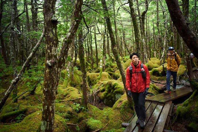 登山