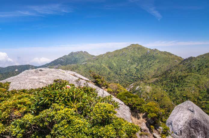 屋久島　宮之浦岳