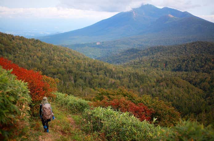 小畚山に向かう登山道