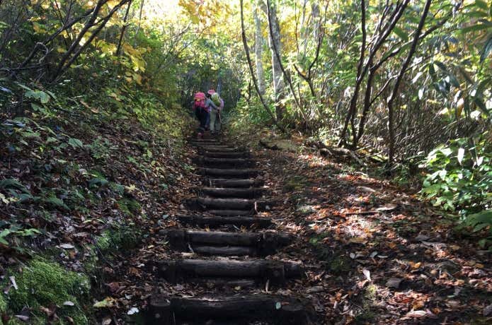 三ツ石山登山道の階段