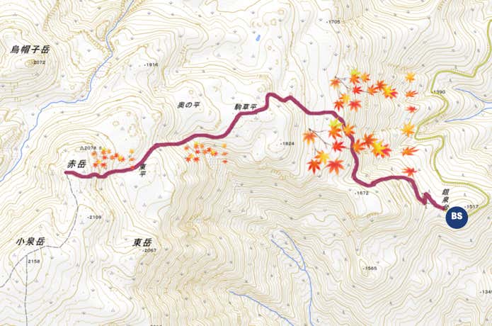 銀泉台紅葉MAP