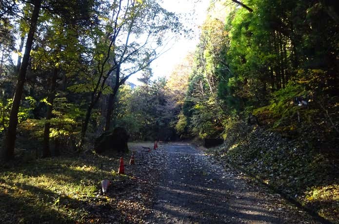 吉部登山口までの林道