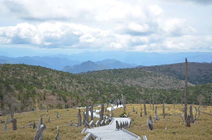 大台ヶ原の登山道