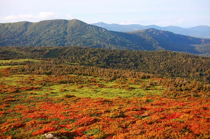 三ツ石山の山頂から眺める紅葉