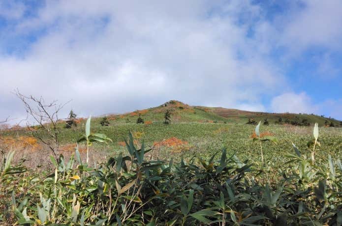 左手には三ツ石山山頂が見える