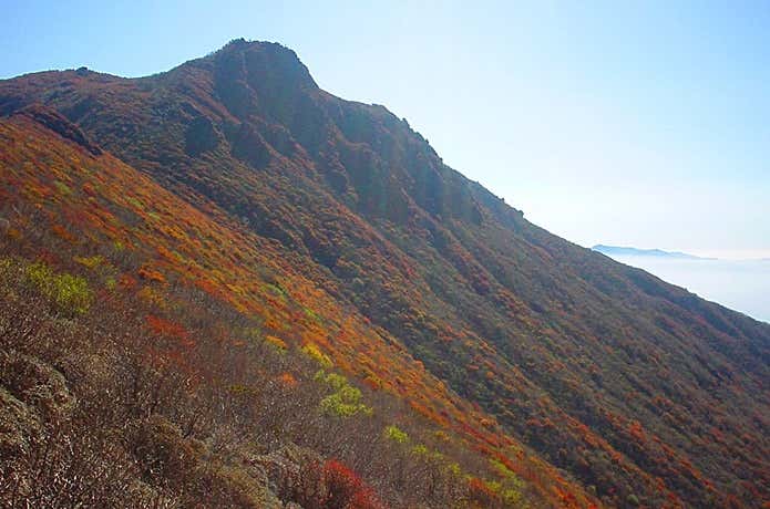 大船山への稜線