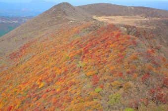 紅葉が山肌を染める！くじゅう連山の秋、地元民おすすめコース