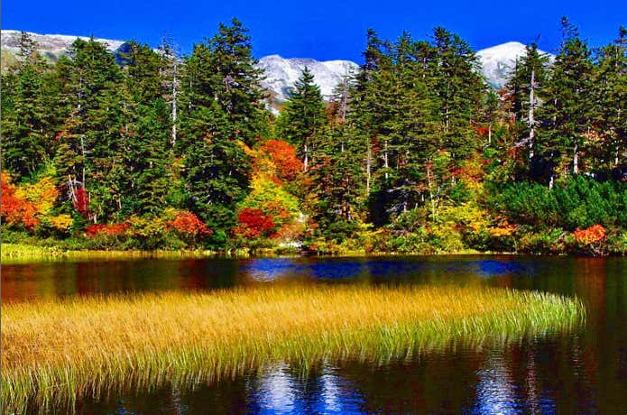 錦秋に染まる山肌を先取り！9月に紅葉の見ごろを迎える人気の山10選