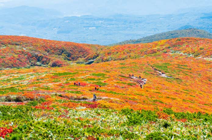 「神の絨毯」にふさわしいカラフルな山肌