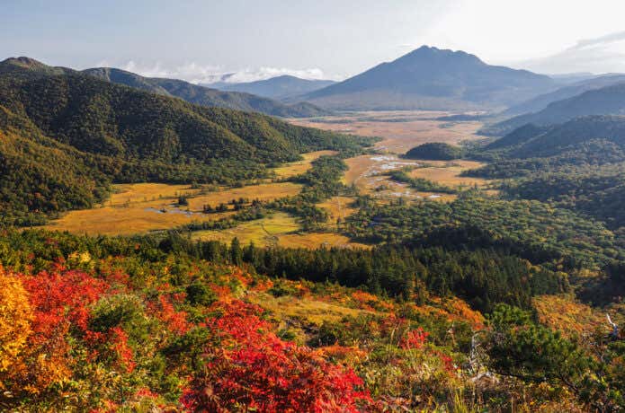 紅葉の至仏山から見下ろす尾瀬ヶ原