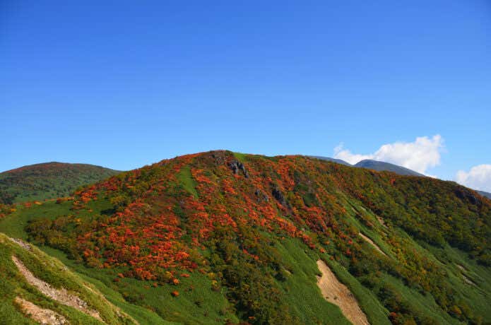 紅葉の犬倉山