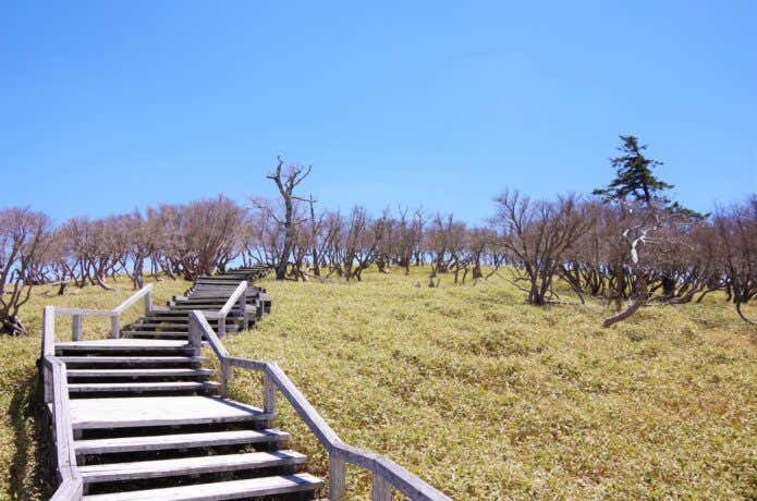 大台ヶ原　関西の山